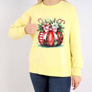 Christmas pumpkin png images 5