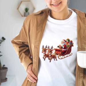 Santa and reindeer PNG 3 3