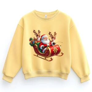 Santa and reindeer PNG 4 1